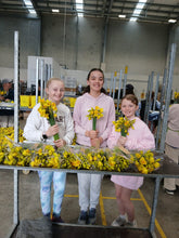Load image into Gallery viewer, Fresh Daffodils (Bunch of 40) 2026