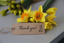 Load image into Gallery viewer, Fresh Daffodils (Bunch of 40) 2026