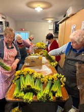 Load image into Gallery viewer, Fresh Daffodils (Bunch of 40) 2026