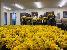 Load image into Gallery viewer, Fresh Daffodils (Bunch of 40) 2026