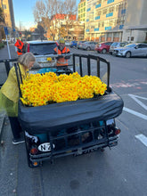 Load image into Gallery viewer, Fresh Daffodils (Bunch of 40) 2026